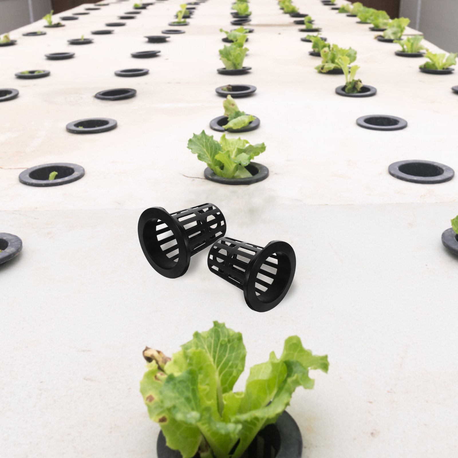 50Pcs Plastic Hydroponic Net P - Plastic Cup 50Pcs review and price