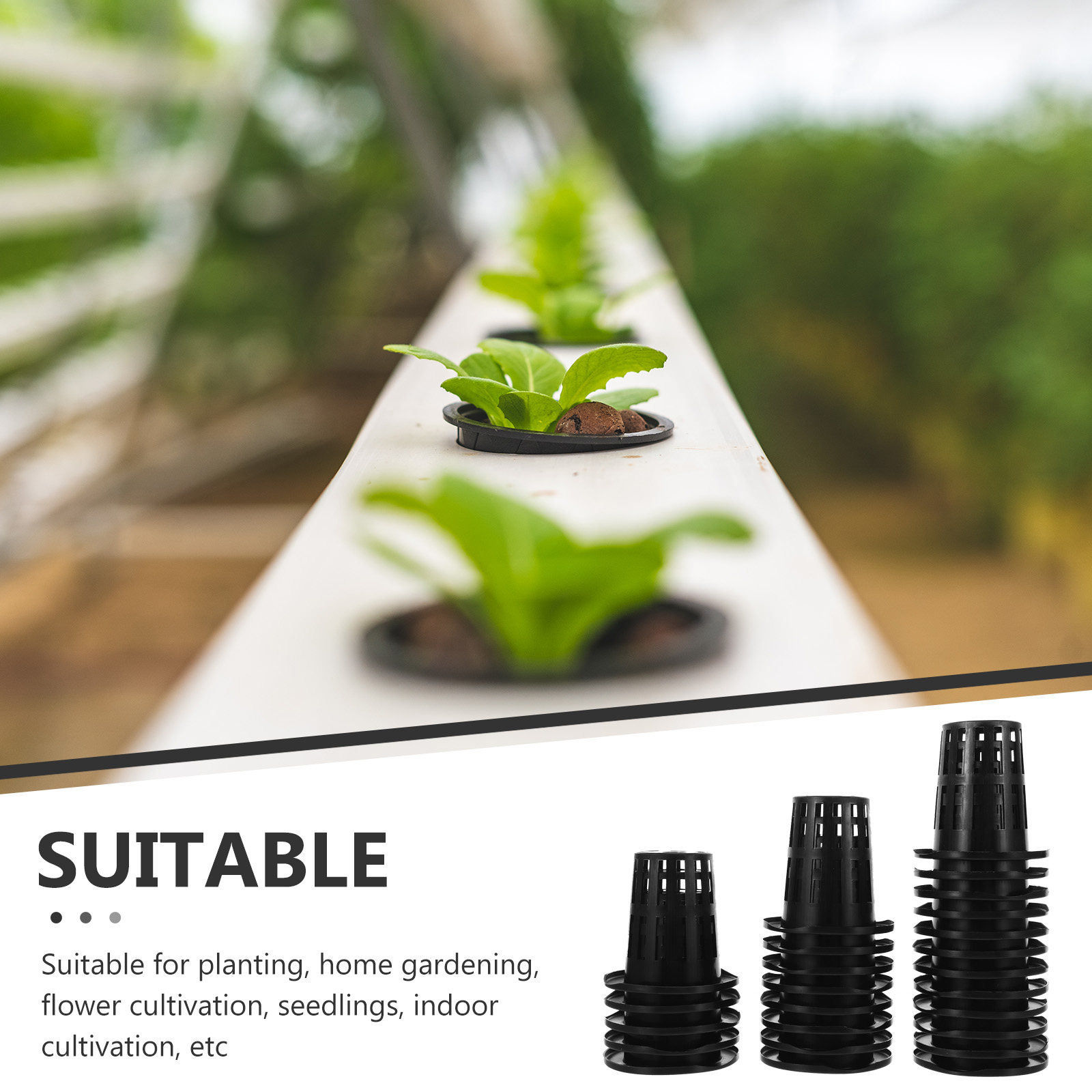 50Pcs Plastic Hydroponic Net P - Plastic Cup 50Pcs review and price