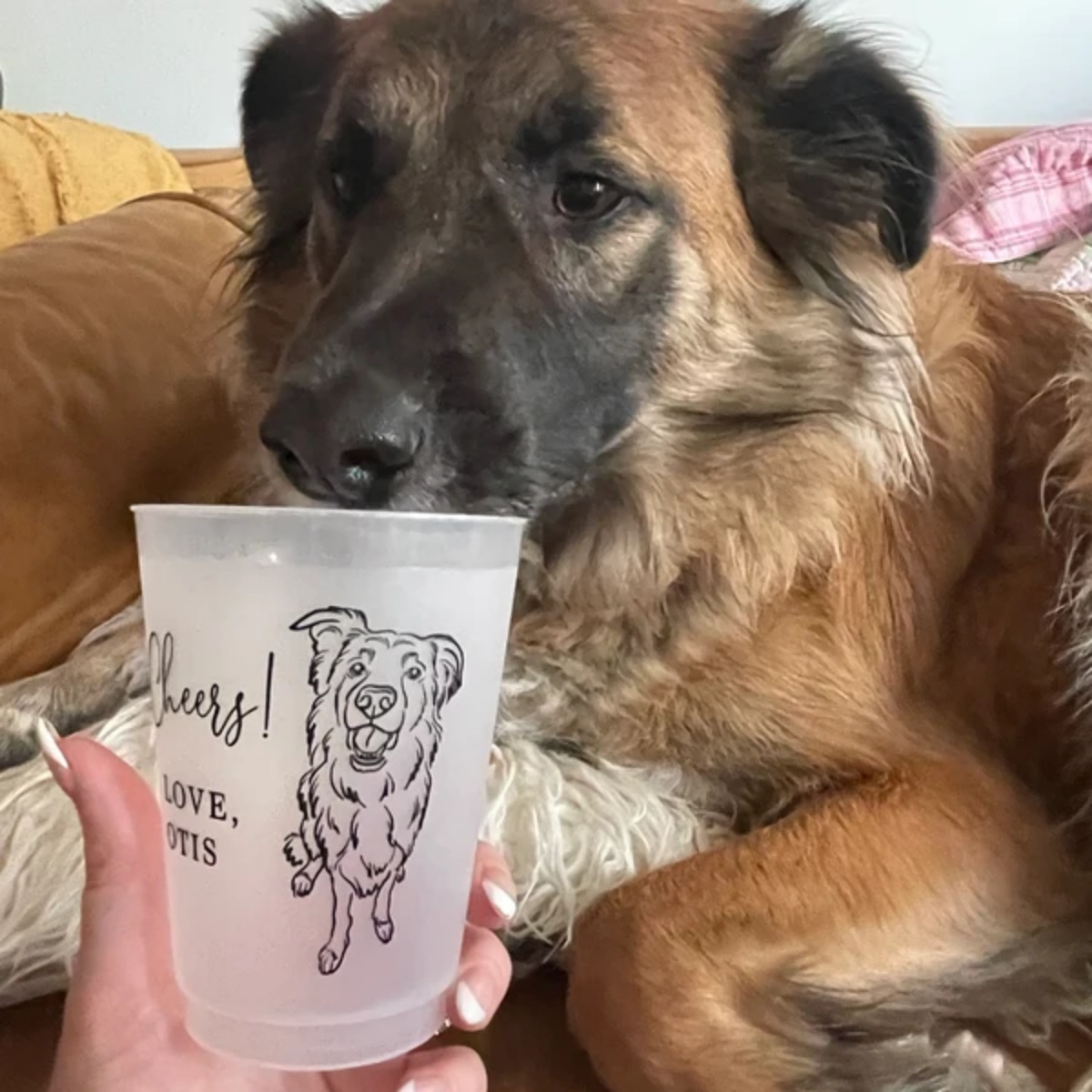 10/50 Custom Dog Cat Pet Portr - Plastic Cup 50Pcs review and price