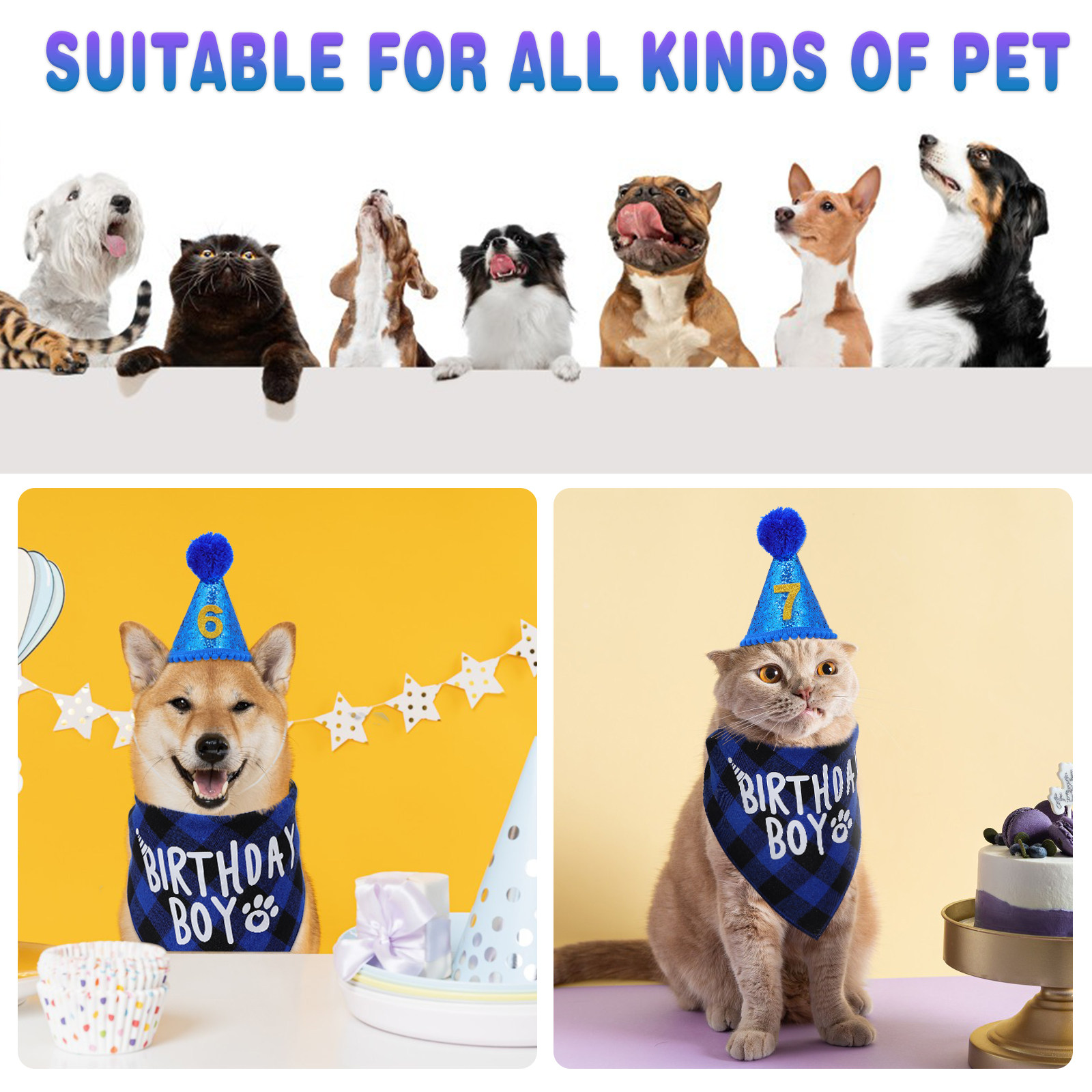 1Set Dog Birthday Bandana Set  - Party Hat Cone review and price