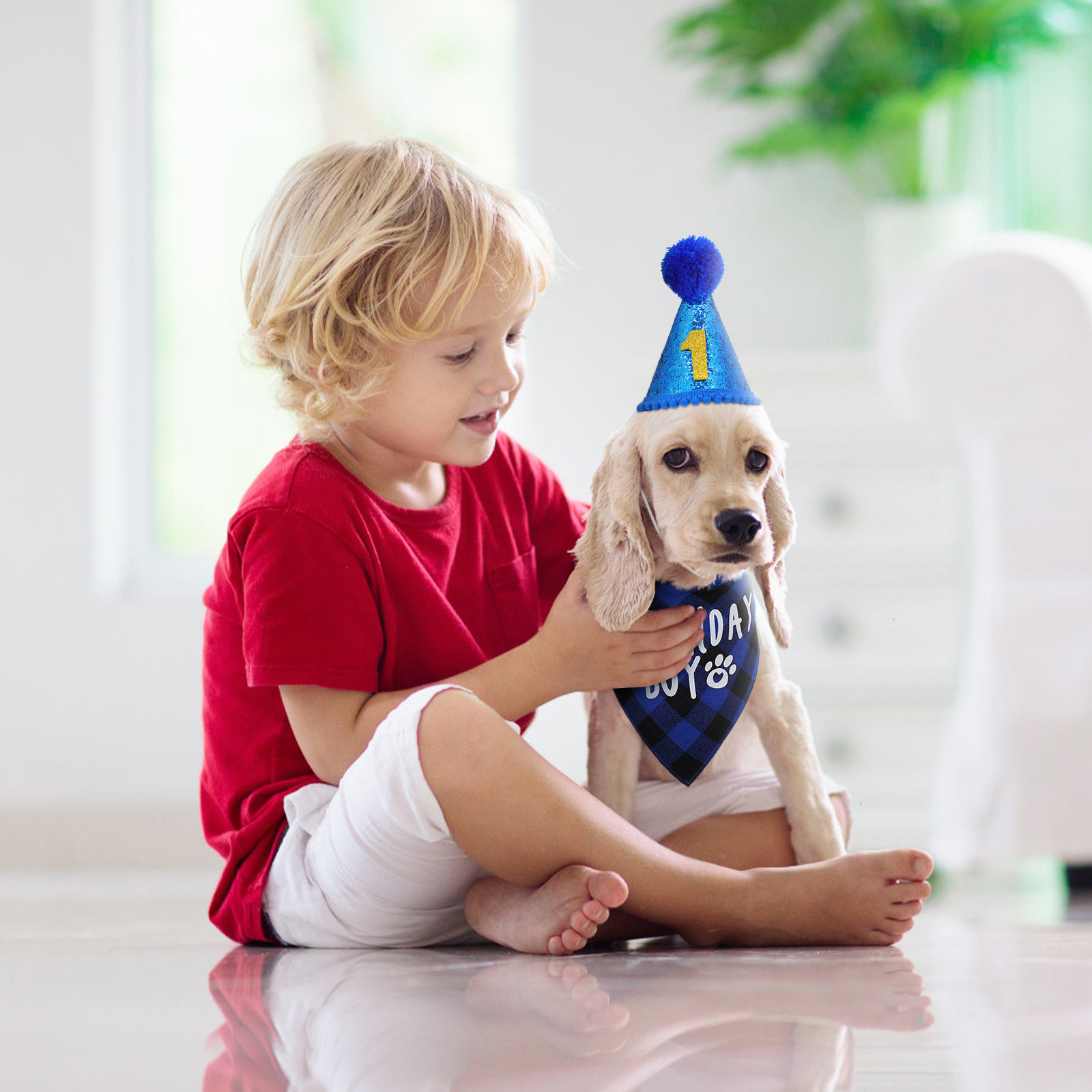 1Set Dog Birthday Bandana Set  - Party Hat Cone review and price
