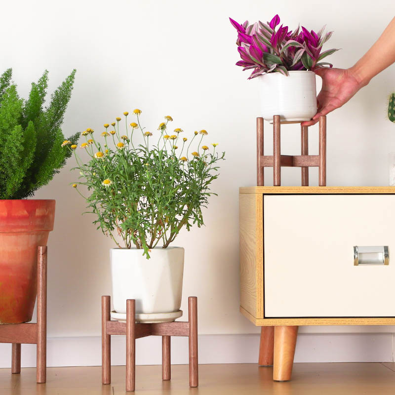 Solid Wood Plant Stand - Vinta - Event Support review and price