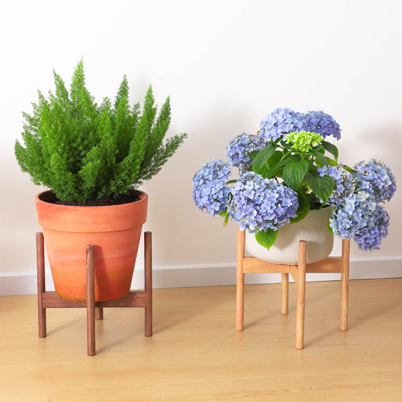 Solid Wood Plant Stand - Vinta - Event Support review and price